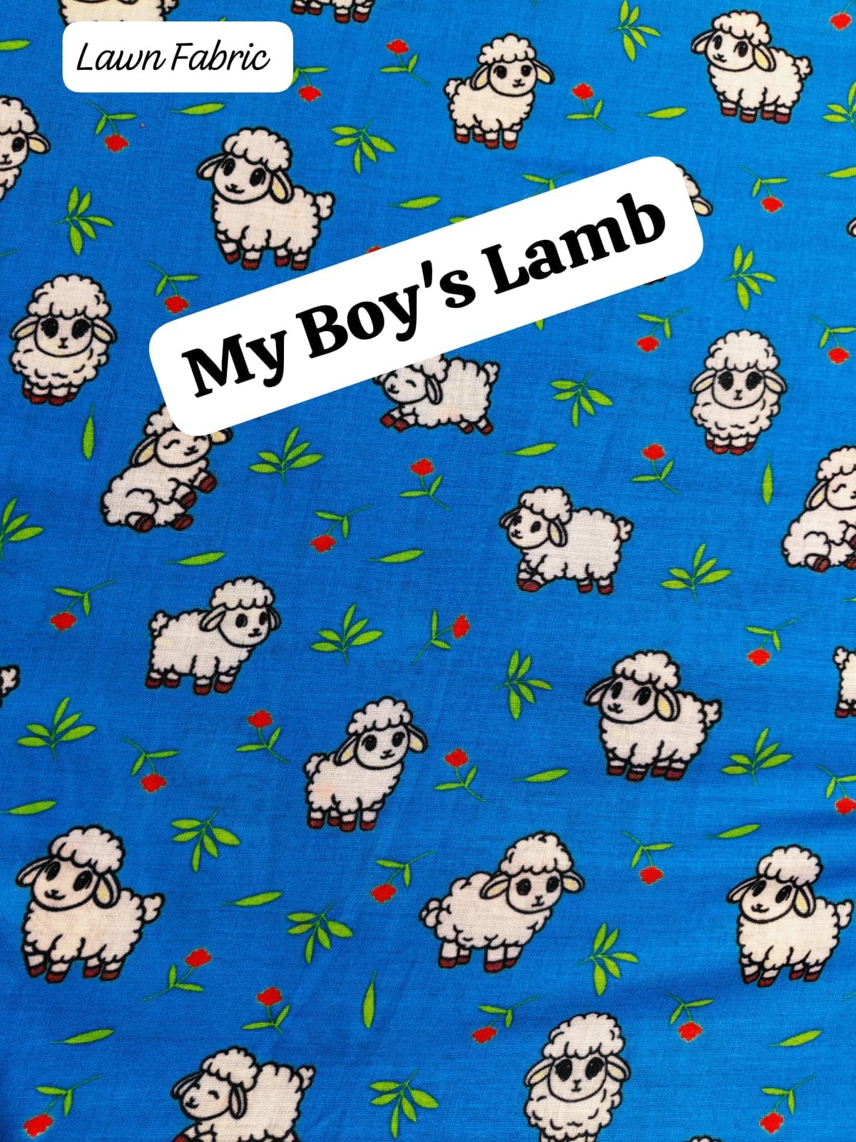Front view of My Boy’s Lamb Width 40’ – soft pastel unstitched lawn fabric by HnA Boutique Pakistan