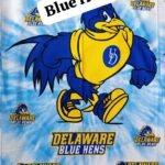Blue Hen printed lawn fabric with Delaware Blue Hens cartoon design – HnA Boutique Pakistan