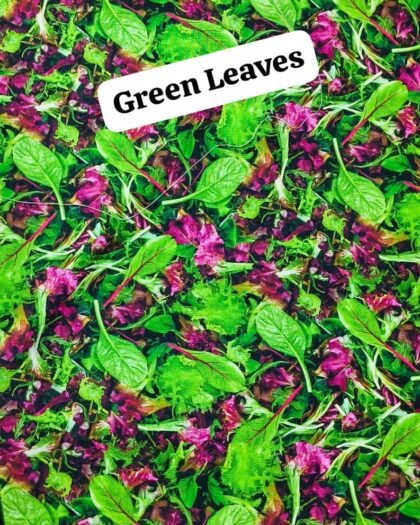 Green Leaves - Funky Cotton 45"
